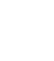 Text Box: What do you see?
In front of you there should be three real objects:  a golf ball, a rabbi, and a castle.  Next to those objects you should see six things, called holograms.
