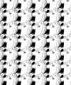 Fido Tessellation.jpg (325409 bytes)