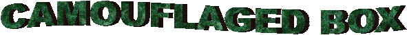 CAMOUFLAGED BOX
